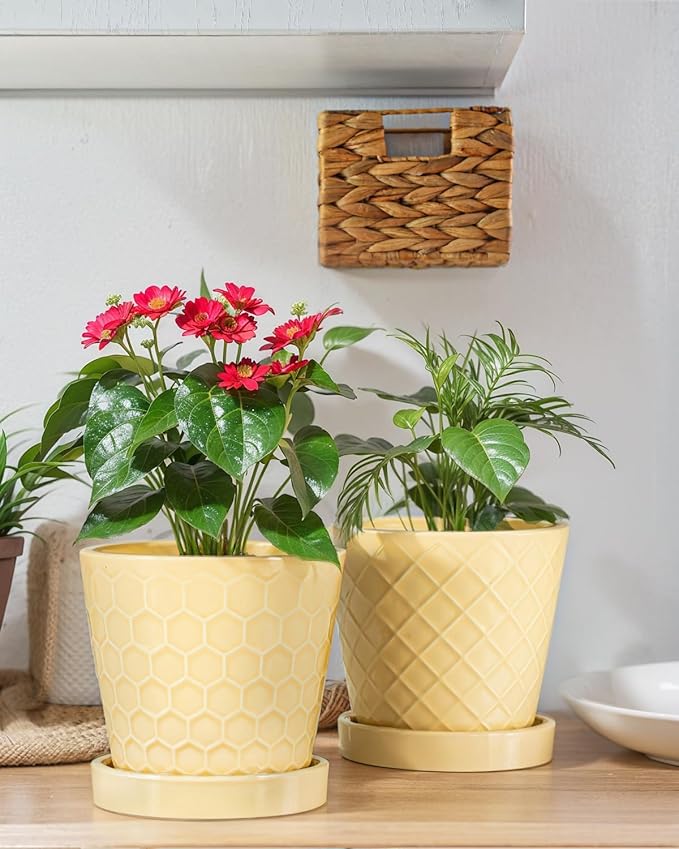 EFISPSS Ceramic Plant Pots, 5Inch Pots for Indoor Plants, Planters with Drainage Holes and Ceramic Tray, Flower Pots Desktop Office Windowsill Decoration Gift - Faint Yellow
