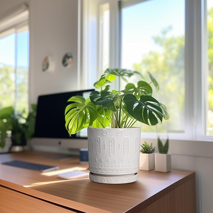 Ceramic Planter for Indoor Plants - 8 Inch Plant Pot Outdoor Flower Pot with Drainage Holes and Saucer Modern Round Planter Succulent Pot for Home Garden Decor White