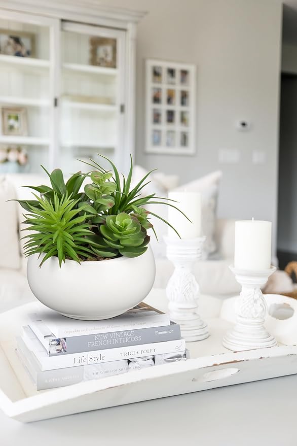 Fake Plants Artificial Succulents in Pots Faux Succulent Arrangement Potted Plant in White Ceramic Planter Bowl for Home Decor Office Desk Bathroom Shelf Living Room Indoor Decorations