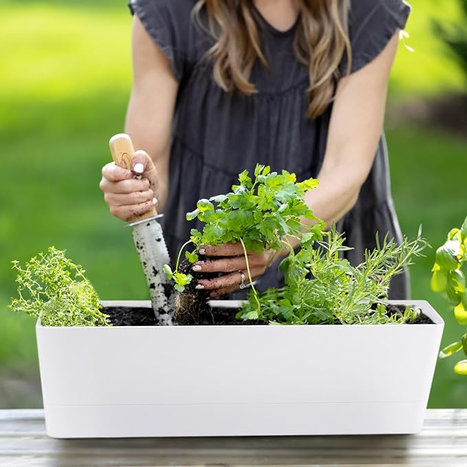 GREANER Window Boxes Planters, 3PCS 16x3.8 Inch Large Herb Planters with Tray, Indoor Succulent Cactus Flowers Vegetable Plastic Rectangle Pots for Balcony, Office, Garden, Outdoor, Windowsill (White)