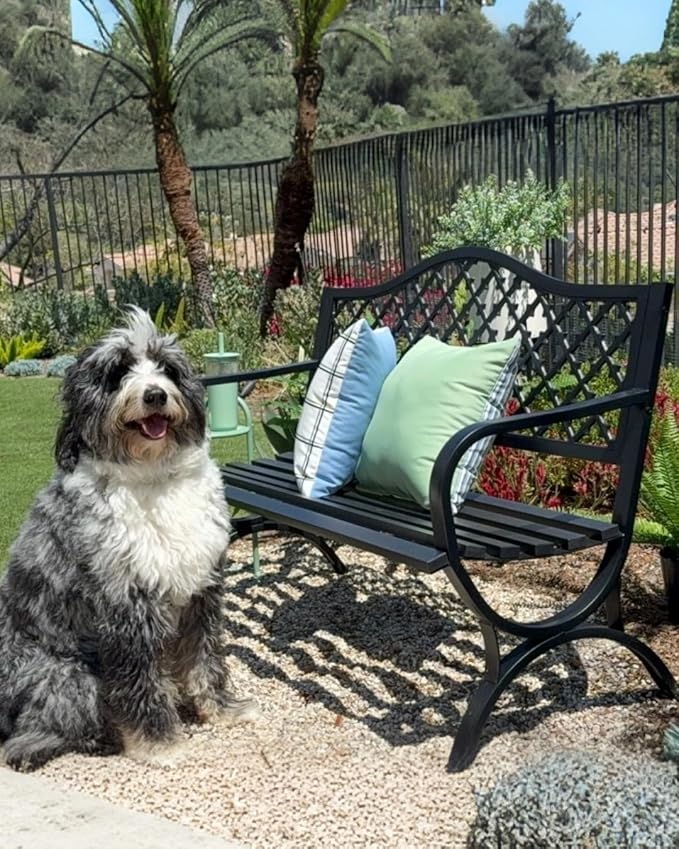 PHI VILLA 50" Outdoor Garden Patio Metal Bench for Outdoors with Plastic Backrest Armrests Sturdy Steel Frame, Black