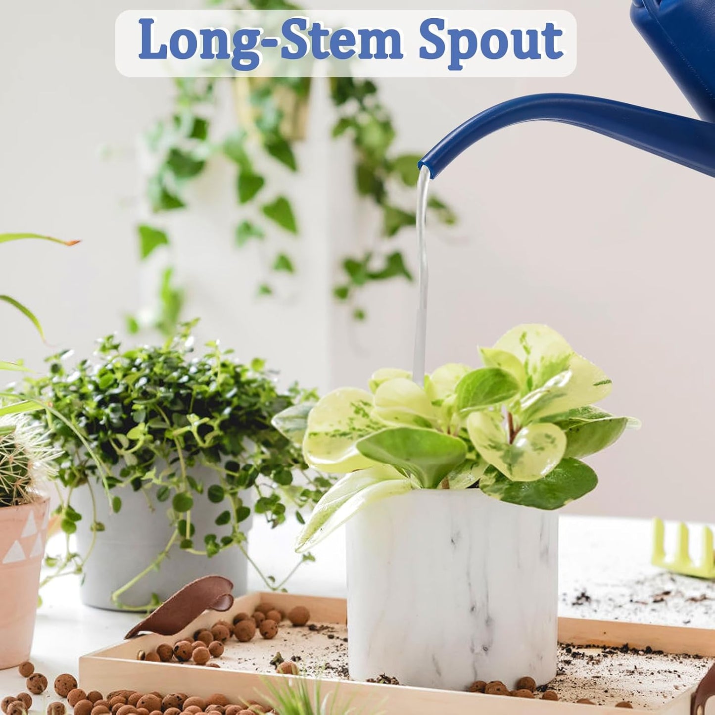 Fasmov Watering Can, 1/2 Gallon Plastic Watering Cans with Comfortable Handle, Small Garden Watering Cans Long Spout for Indoor Outdoor Watering Plants, Blue