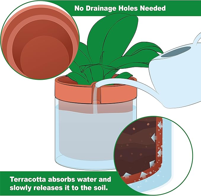 Phoenix Vine 10 Inch Self Watering Planter Pot, Terracotta Clay Pot with Glass Reservoir for Indoor Plants, Herbs, Flowers, Set of 1, 52-A-I-1