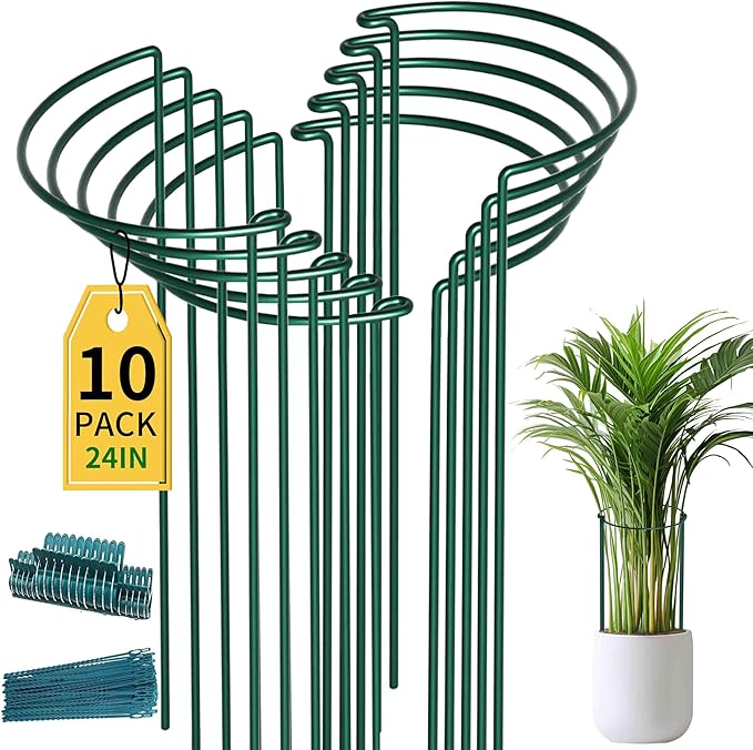 TCBWFY 10 Pack Plant Support Stakes for Peony,10" Widex24 High Heavy Duty 4.5mm Peony Cages and Support,Metal Peony Supports for Outdoor Indoor Plants,Plant Supports for Peony