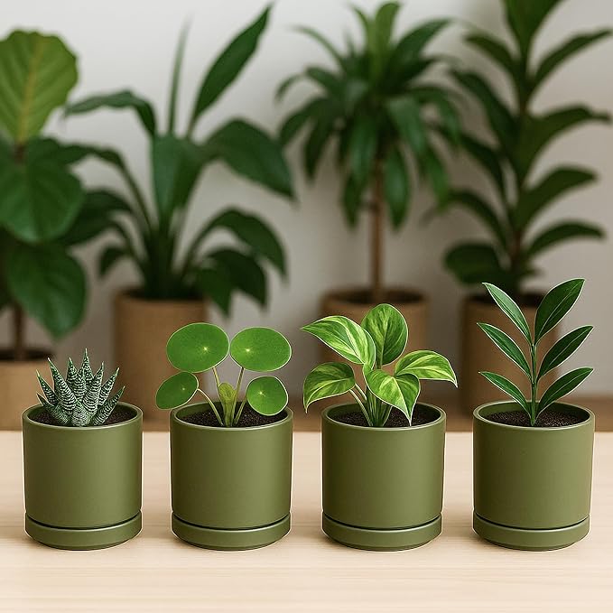 D'vine Dev Set of 4 Small Ceramic Plant Pots, 3.5 Inch Succulent Planter Pot for Plants with Drainage Hole and Saucer, Olive, 94-X-A-0