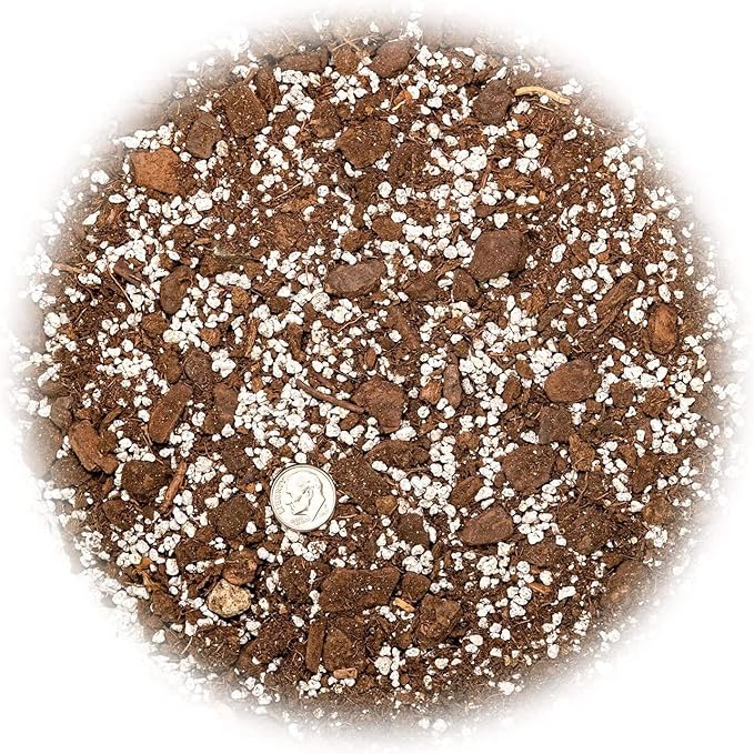 Palm Tree Potting Mix - The Ultimate Soil for Strong and Healthy Palms - Top Choice for Palm Tree Growers [5 Quart Bag]