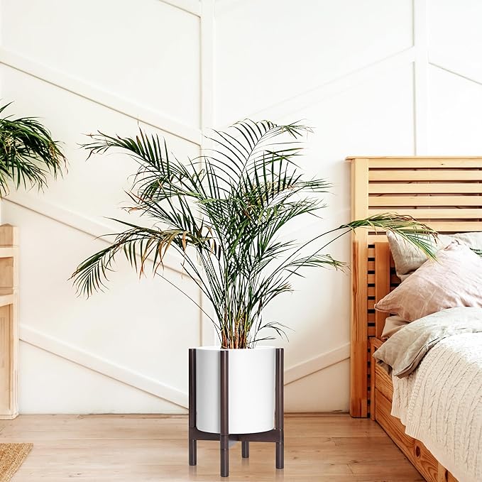 D'vine Dev Planter with Stand - 12 Inch Plastic Cylinder Flower Pot with Wood Holder for Indoor, Matte White Pot + Walnut Color Stand, 55-C-O-1