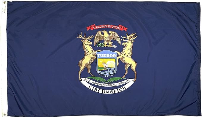 FlagSource Michigan Nylon State Flag, Made in USA, 8x12'
