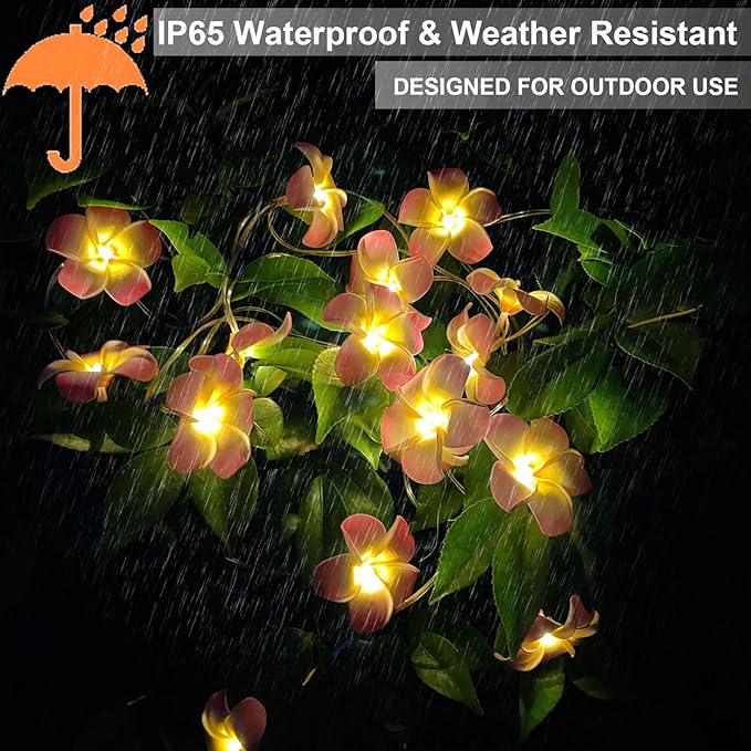Solar Flowers Outdoor Waterproof - Petunia Blue Morning Glory Flowers&Solar Moth Orchid String Lights 12.5ft 10 LED Phalaenopsis Flower Solar Fairy Lights
