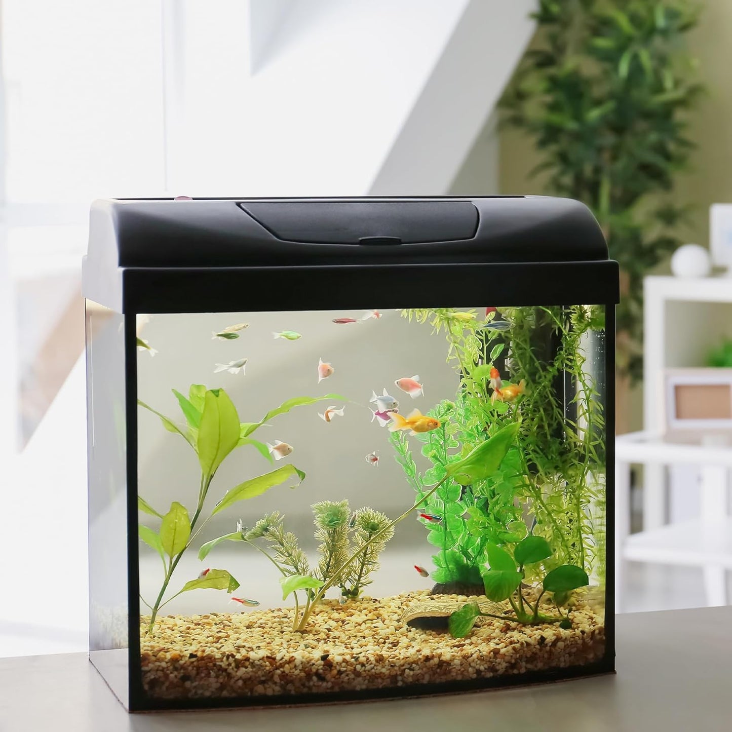 Aquarium Gravel 20 lbs, 2-4mm Fish Tank Gravel, Succulent Cactus Pea Gravel for Indoor Plants, River Rocks for Gardening, Flower Pots, Vase Fillers, Garden Landscaping