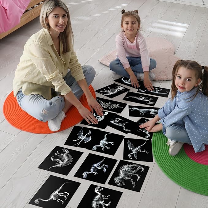 Chunful 20 Pcs Animal X-Ray Kit Wildlife X-Ray Flash Cards Educational Science Kit Light Table Toys Accessory, 11.7" x 8.3'' (Dinosaurs)