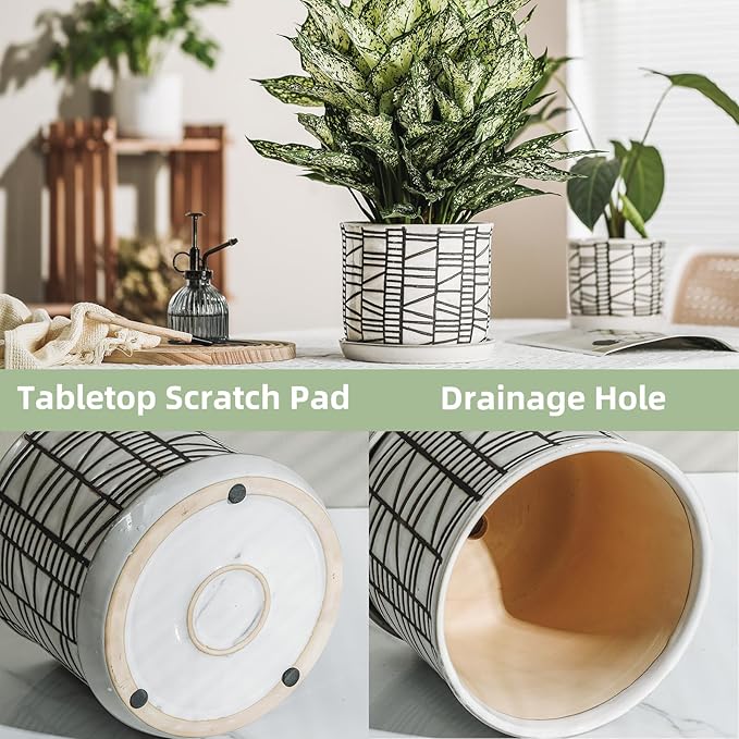 8 Inch Plant Pot: Ceramic Planter with Drainage Hole & Saucer for Indoor Outdoor Plants - Flowerpot with Bonded Tray for Home Office - Striped Debossed