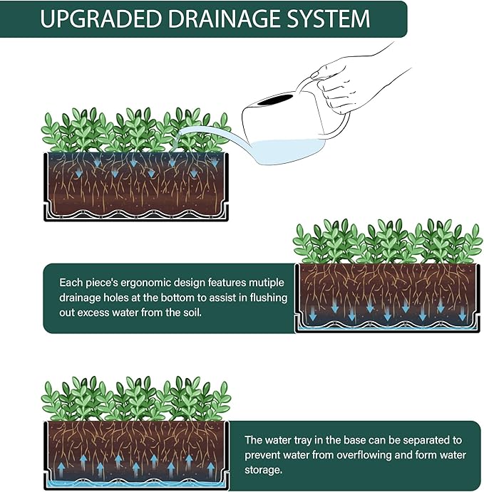 D'vine Dev 12 Inch Window Box Planter, Rectangle Plastic Herb Planter with Drainage Holes and Saucer, Indoor Succulent Cactus Vegetable Pot for Windowsill, Garden Balcony, Black, Set of 2, 76-X-B-2