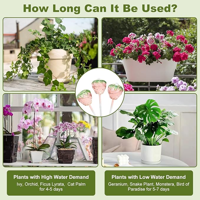 Strawberry Plant Watering Globes Set of 2, Large Water Globes for Indoor Plants, Glass Self Watering Planter Insert, Top-Fill Watering Bulbs for Indoor Outdoor Plants