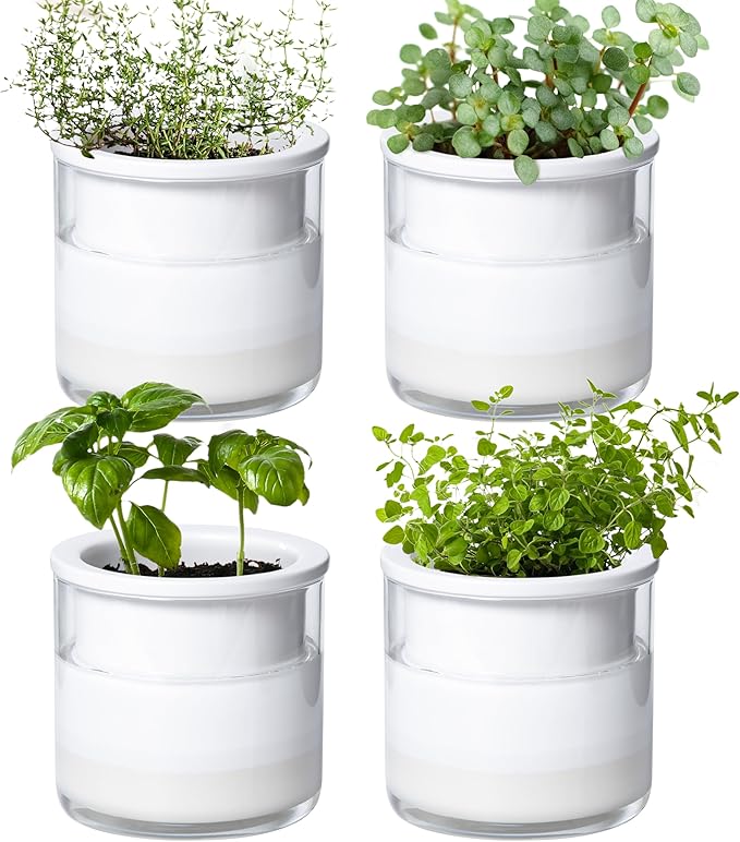 Phoenix Vine 4 Inch Self Watering Planter Pot, Design White Terracotta Pots for Plants, Indoor Cylinder Terra Cotta Pots with Glass Vase, Set of 4, 51-B-E-4