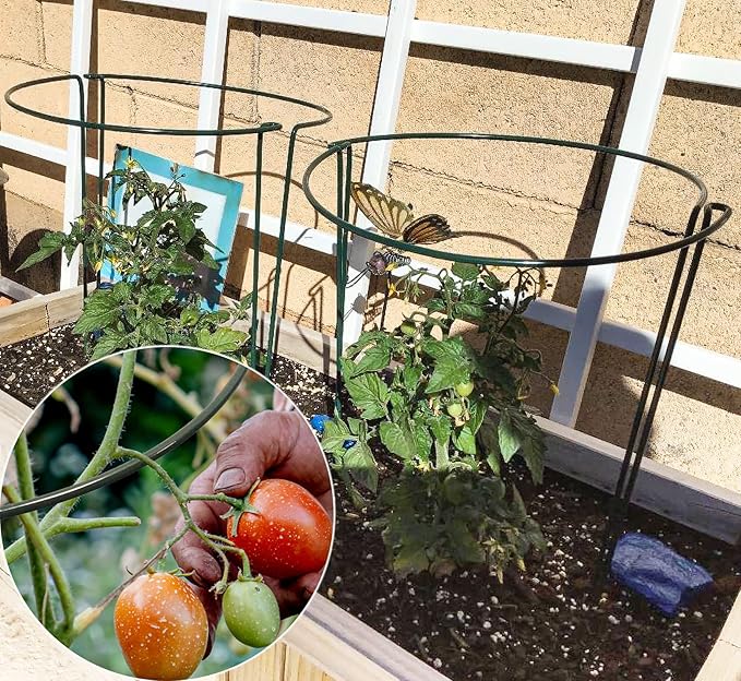 TCBWFY 20 Pack Garden Plant Support Stakes,10" Widex16 High Heavy Duty Interlinked Half Round Peony Support Ring Cage for Indoor Outdoor Plants,Plant Supports for Peony,Tomato,Hydrangea,Rose