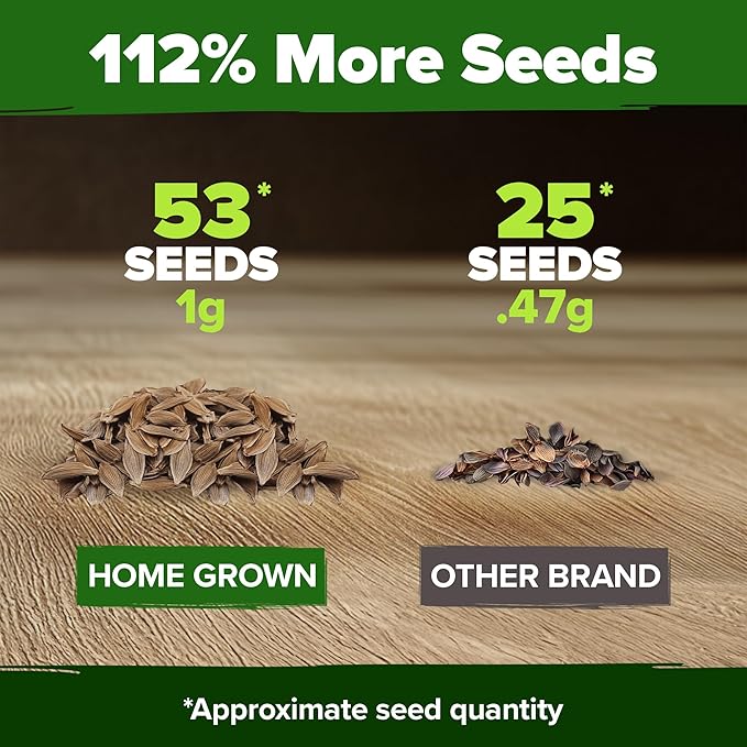 HOME GROWN 𝗨𝗦𝗔 53 White Lilac Flower Seeds Non-GMO, Heirloom Tree Seeds for Planting, Fragrant Flowering Tree Seeds for Landscaping, Pollinator Gardens, and Ornamental Borders (Syringa reticulata)