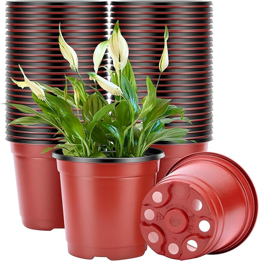 VIVOSUN 50 Pcs 6 Inch Plastic Plant Nursery Pots, Seed Starting Pot, Flower Plant Container for Seedlings, Cuttings, Transplanting