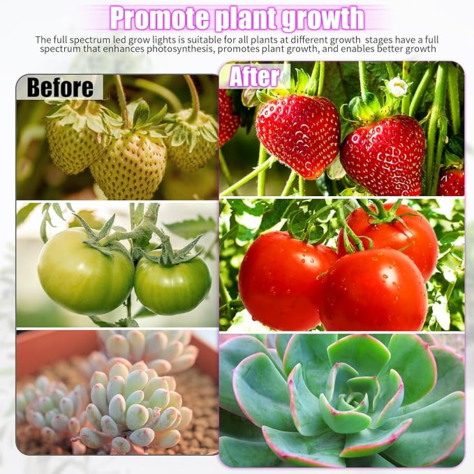 LED Grow Lights, 4 Heads Red Blue White Full Spectrum Plants Lights with Clamp for Indoor Plants & Seed Starting, 10-Level Dimmable, Auto On Off, Timing 4 9 12Hrs