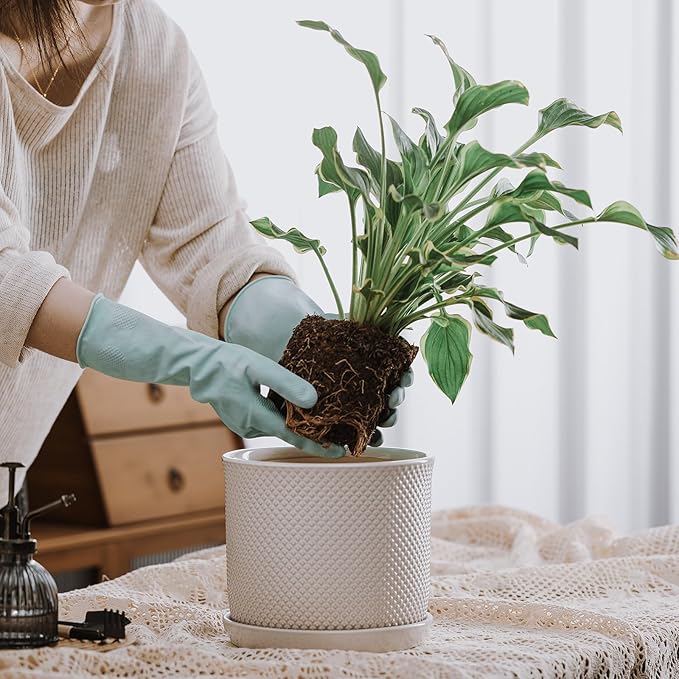 8 Inch Plant Pot: Ceramic Planter with Drainage Hole & Saucer Indoor Outdoor Plants - Flowerpot with Bonded Tray for Home Office - Beaded Embossed Style, Cream White