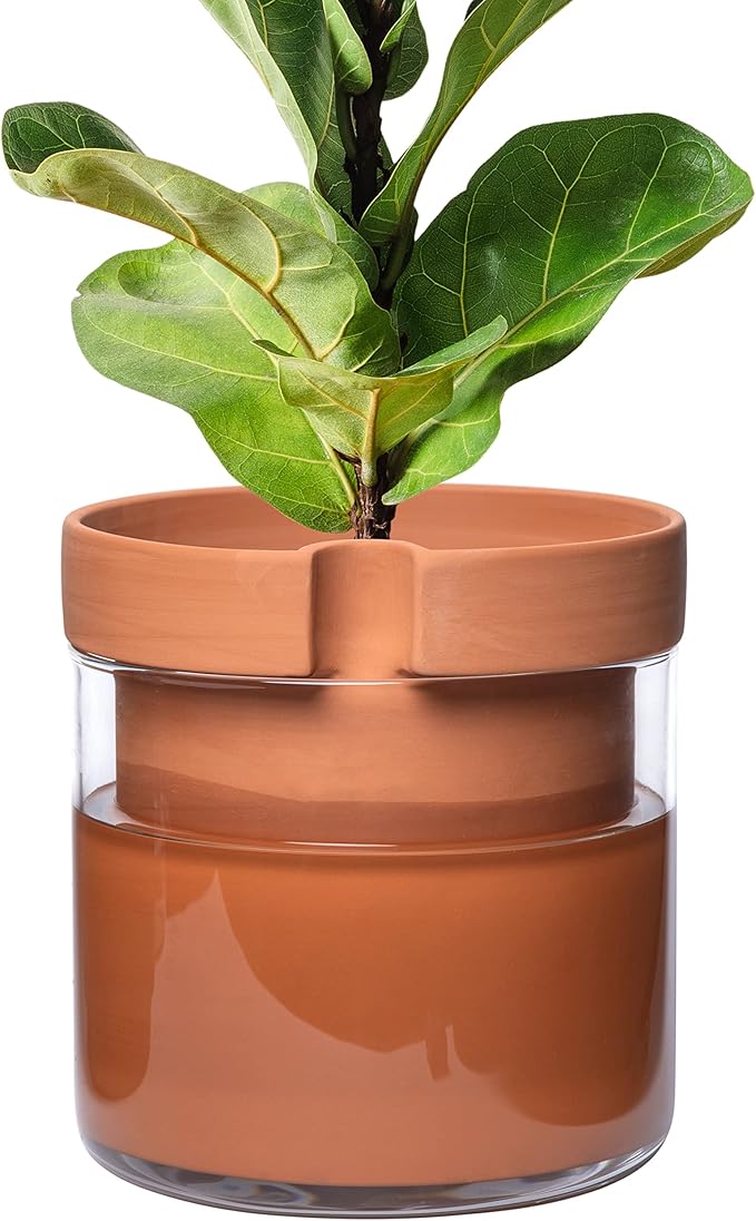 Phoenix Vine 10 Inch Self Watering Planter Pot, Terracotta Clay Pot with Glass Reservoir for Indoor Plants, Herbs, Flowers, Set of 1, 52-A-I-1