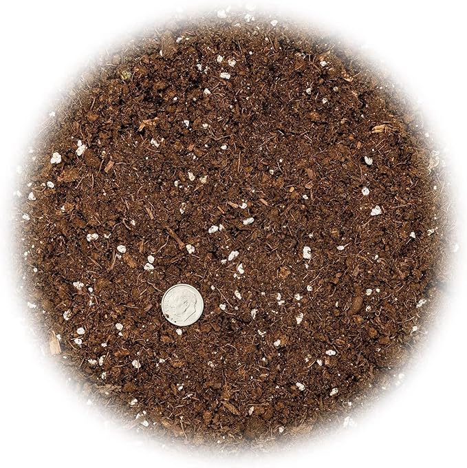 Premium Pothos Potting Soil Mix - Air Cleaning Plant Potting Mix, Soil Mix for Pothos, Parlor Palm, Peace Lily - (2 Quart Bag)