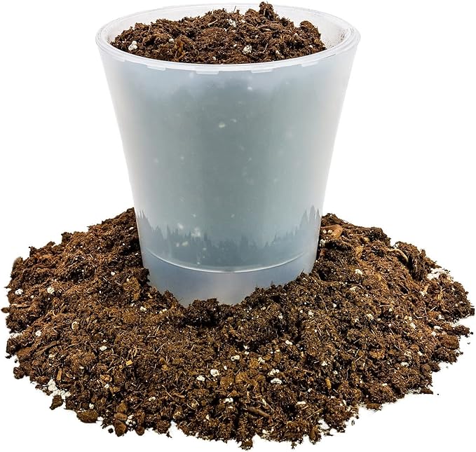 Money Tree Potting Soil - 10 Quart - Soil Mix for Planting or Repotting Guiana Chestnut, Soil Blended to Properly Grow Money Tree Plants (2 Bags of 5 Quart)