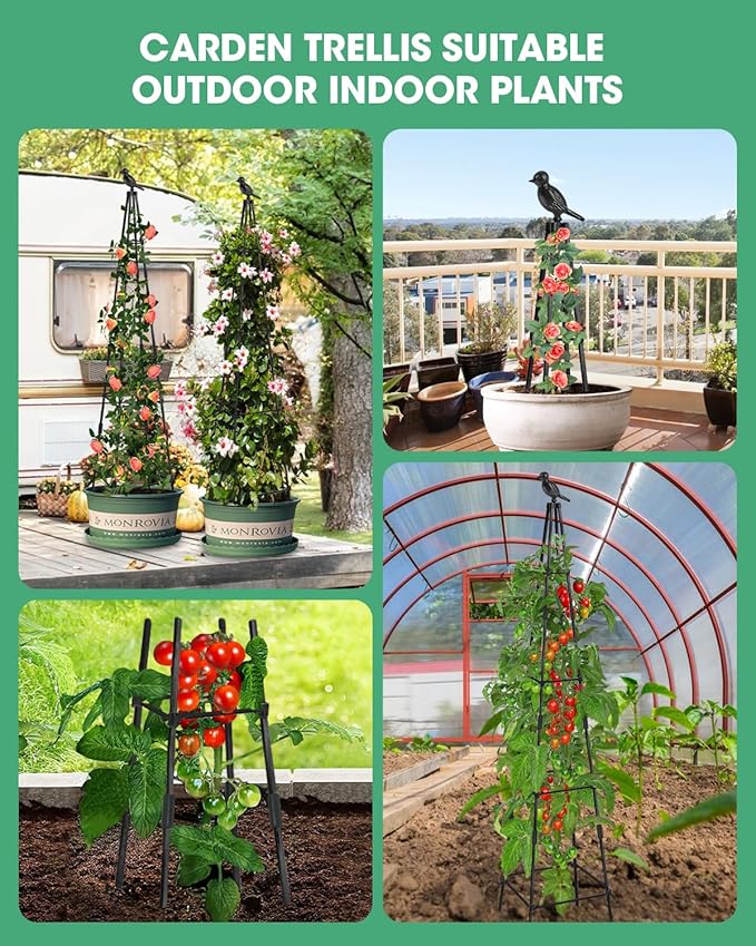 Trellis for Climbing Plants Outdoor, 2 Pack Plant Trellis Support for Climbing Vine, Plant Support Tower Cages Plastic Coated Metal Pipe Supports for Outdoor Indoor,Tomato cage (Black, 5 FT)