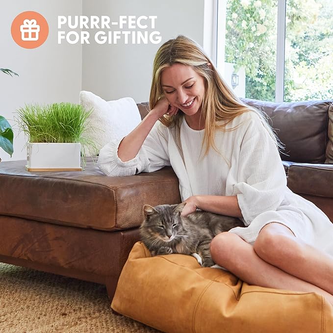 The Cat Ladies Organic Cat Grass Growing kit with Organic Seed Mix, Soil and Ceramic Planter with Bamboo Tray. Natural Hairball Control and Remedy for Cats