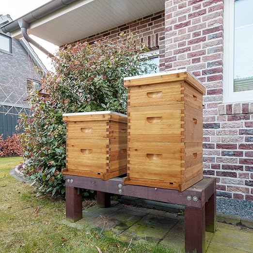 VINGLI 10 Frames Beehive, Complete Beehive Kit Includes 1 Deep Boxes, 1 Medium Box, Frames and Waxed Foundations, for Yard, Field, Bee Farm (2 Layer)