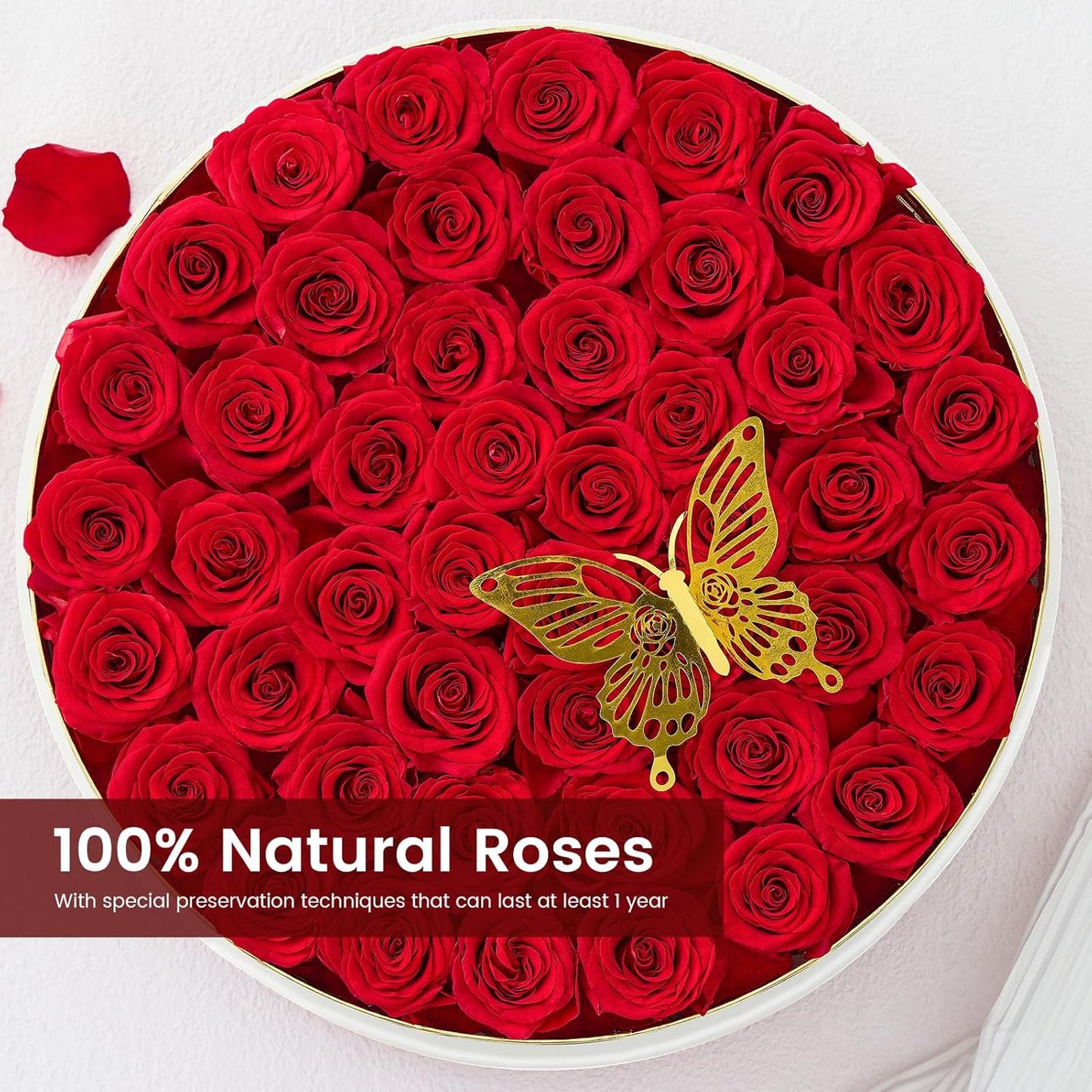 Preserved Roses Forever Flowers Real Roses in a Box Mother's Day Birthday Flowers for Her Mom Women Wife Valentine's Day, Red, 47 Piece