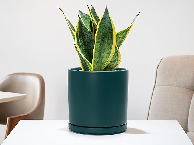 D'vine Dev Set of 2 Plants Pots, 8 Inch Ceramic Planter Pot for Plants with Drainage Hole and Saucer, Teal, 94-V-D-9