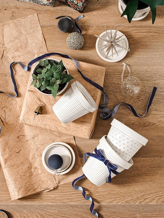 LE TAUCI Ceramic Plant Pots, Cute Succulent Pots with Saucer, 6 Inch Flower Pots with Drainage, for Plant Lover or Mothers Day,Housewarming, Decorative Lovely Planter for Cactus, Set of 4