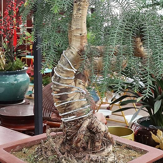 Sanlykate Bonsai Wire Tool Kit with Cutter, 3 Roll Tree Training Wires 98 Feet Total, 1.0mm, 1.5mm, 2.0mm Anodized Aluminum Wire Set, Hold Plant Branches Trunks - Silver