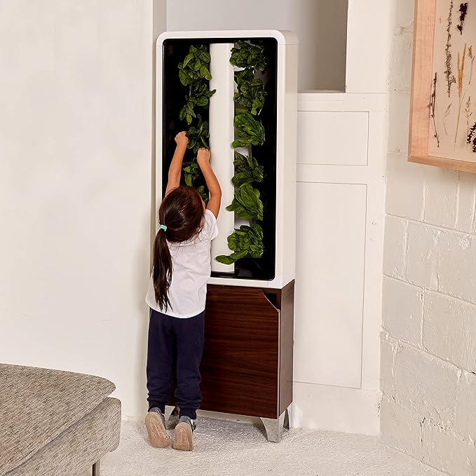 Just Vertical EVE Indoor Hydroponic Garden | Modern Furniture-Style Vertical Planter | Grow 12 Fresh Herbs & Vegetables Year-Round | Self-Watering, Energy-Efficient LED, Compact Design