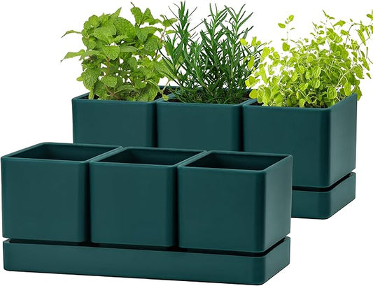 D'vine Dev Herb Garden Planter Set, Plastic Plant Pots with Drainage and Saucer, Indoor Succulent Cactus Vegetable Pot for Windowsill, Garden Balcony, Green, Set of 2, 76-V-C-2
