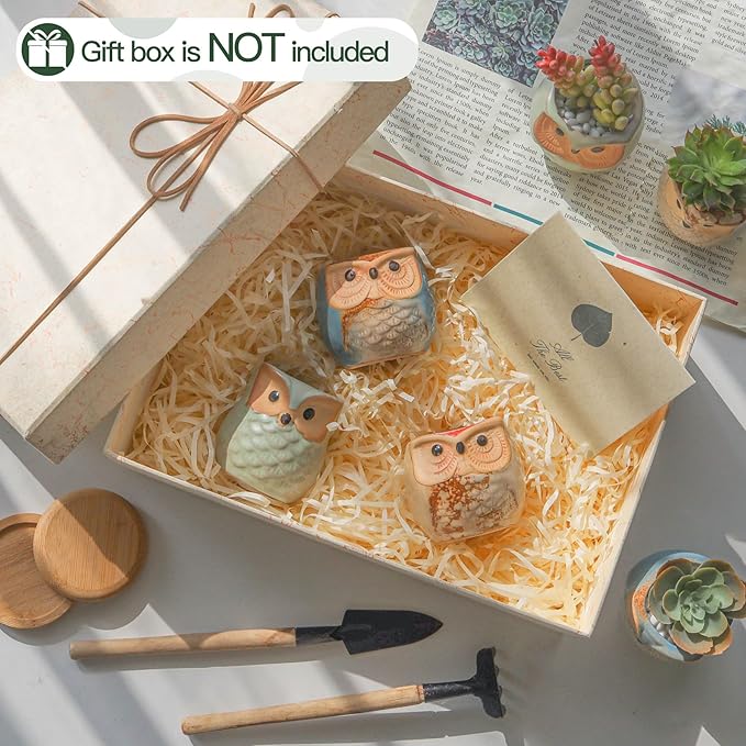 T4U 2.5 Inch Owl Ceramic Succulent Planter Pots with Drainage Hole Set of 6, Small Cute Flower Pots Plant Holder Container Best for Home Office Garden Decoration Owl Gift Ideas
