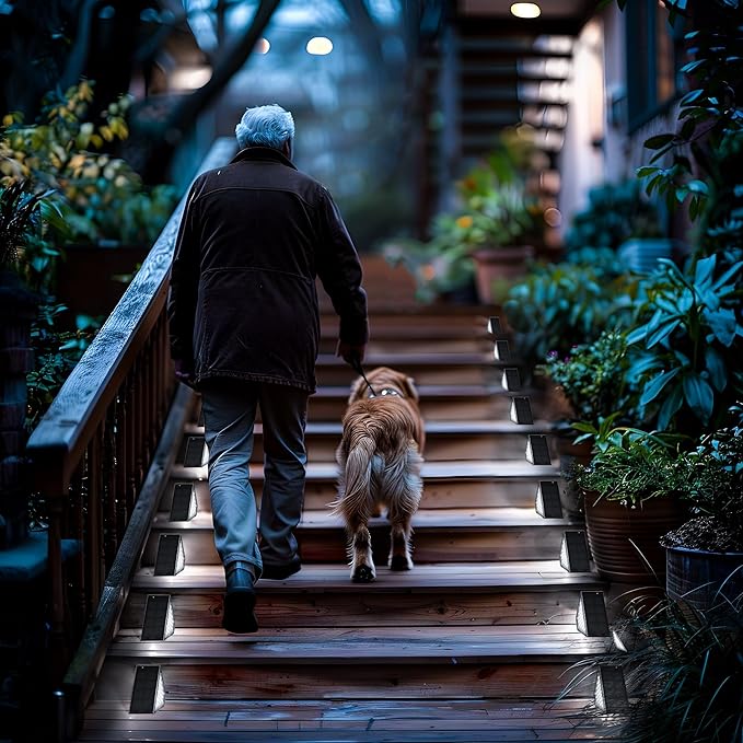 SOLPEX Solar Step Lights for Outside, 24 LEDs Solar Stair Lights Outdoor Waterproof Decor for Porch, Front Door, Stair, Step, Deck, Fence, Balcony, Patio, Wall, Yard, Garden(6 Pack, Cold White)