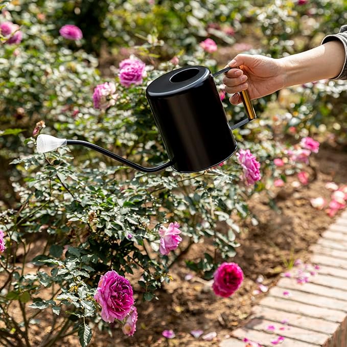 L&H Unico Stainless Steel 62oz Watering Can Long Spout Plant Misters for Indoor Plant Watering or Outdoor Gardening with 2Pcs Removable Spray Spout for Flowers Black