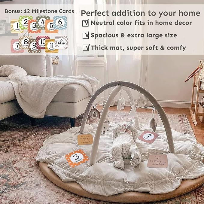 5-in-1 Thick & Plush Baby Play Gym, Baby Play Mats for Floor, Tummy Time Mat with 6 Toys, Cat Bed, Dog Bed, Convertible Stage-Based Developmental from Baby to Toddler, Ball Pit, Pet Cushion Cloudico