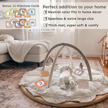 5-in-1 Thick & Plush Baby Play Gym, Baby Play Mats for Floor, Tummy Time Mat with 6 Toys, Cat Bed, Dog Bed, Convertible Stage-Based Developmental from Baby to Toddler, Ball Pit, Pet Cushion Cloudico