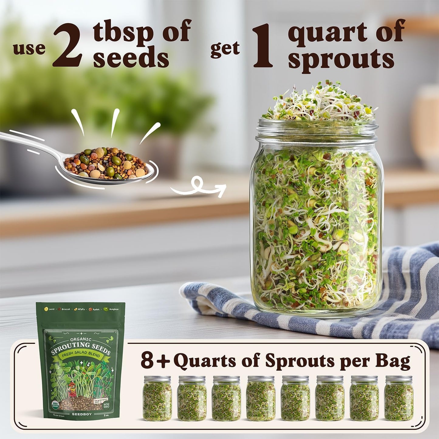 Seedboy Sprouting Kit Bundle - Sprouts Growing Kit with Jar, Lid, Stand and Organic Salad Blend Seeds (8 oz Bag, 24 Servings) - Non-GMO, USA Grown Microgreens - (Sprouting Jar/Salad Blend)