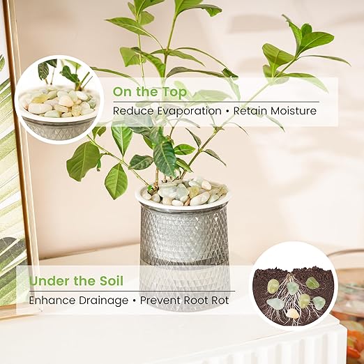 SIDONG 10 LB Jade Pebbles, 2/5 Inch Natural Decorative Polished Jade Stones, Jade River Rocks for Succulents, Cactus, Vases, Indoor Plants, Garden Landscaping, Bamboo