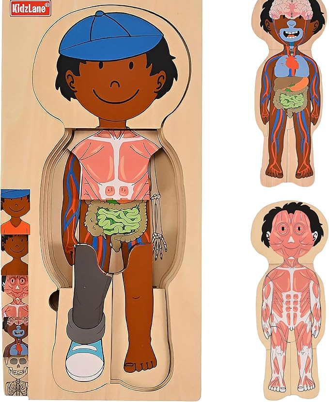 Kidzlane African American Boy Wooden My Body Puzzle for Toddlers and Kids - 29 Piece Girls Anatomy Puzzle - Anatomy for Kids, Skeleton Toys for Ages 3 Plus