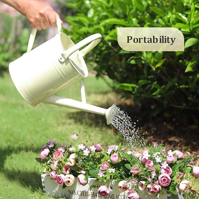 Watering Can for Outdoor Plants and Indoor Plants,1 Gallon Metal Watering Can for Garden Flower,Galvanized Steel Metal Water Can Watering Pot with Sprinkler Head