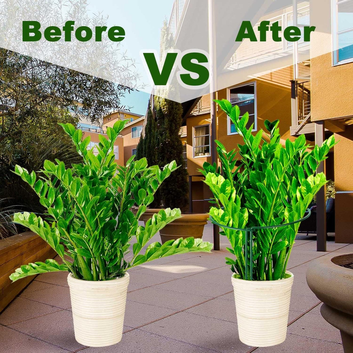 HiGift 16 Pack 24 Inch Plant Support Stakes, 10" Wide x 24" High Half Round Metal Garden Plant Stake Peony Support Cage, Green Plant Support Ring Border for Tomato,Hydrangea,Flower Indoor Outdoor