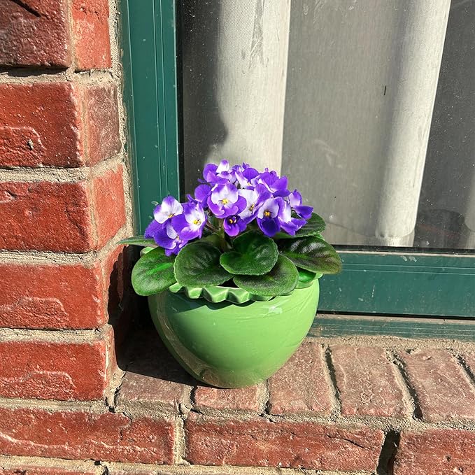 African Violet Flower Pot Green Ceramic Self Watering Flower Pot 6.5 * 4.6 * 4 inch Simple Plant Self Watering Pot Indoor Flowers High Absorption Herbaceous Flower Pots Modern Decor Pots
