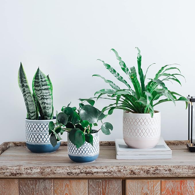 6 + 4.7 inch Flower Plant Pots Indoor Plants, Ceramic Planter with Drainage Hole, Pink Plant Pot for Succulent Orchid Snake Plants Cactus