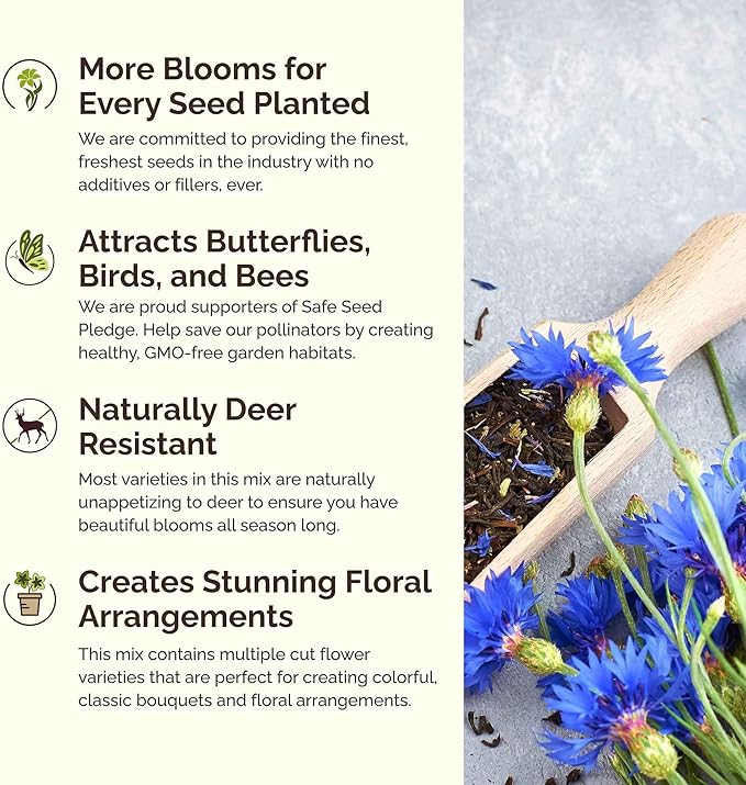 Eden Brothers Royal Meadow Flower Mixed Seeds for Planting, 1/4 lb, 120,000+ Seeds with Morning Glory, African Daisy | Attracts Pollinators, Plant in Spring or Fall, Zones 3, 4, 5, 6, 7, 8, 9, 10