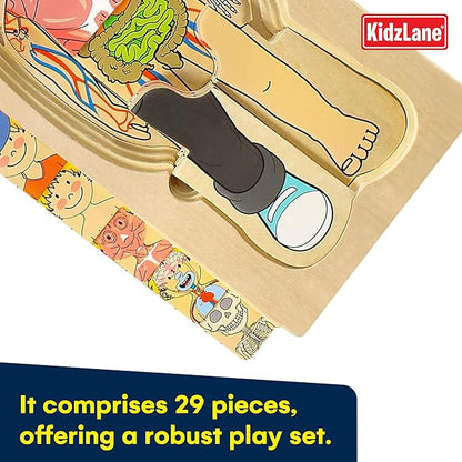 Kidzlane Boy Wooden My Body Puzzle for Toddlers & Kids - 29 Piece Boys Anatomy Puzzle Kid Play Set - Anatomy for Kids, Skeleton Toys for Children Ages 3 Plus